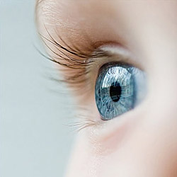 baby-blue-eyes.jpg
