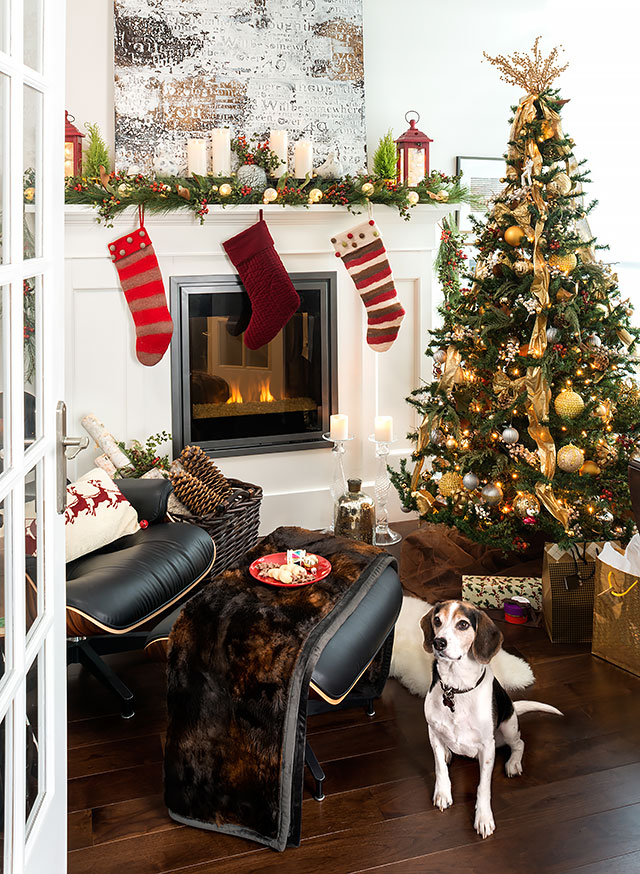 Christmas tree, fireplace, dog.