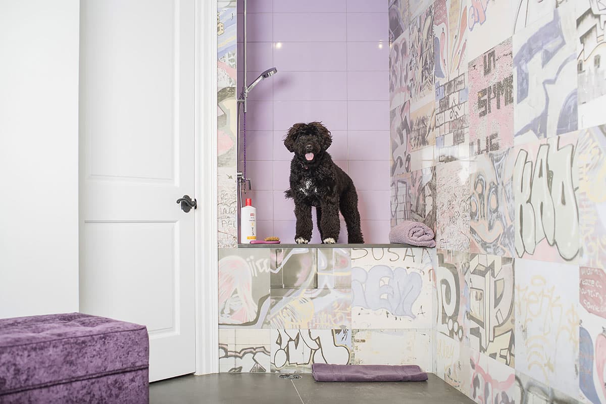 Dog washing station in the basement