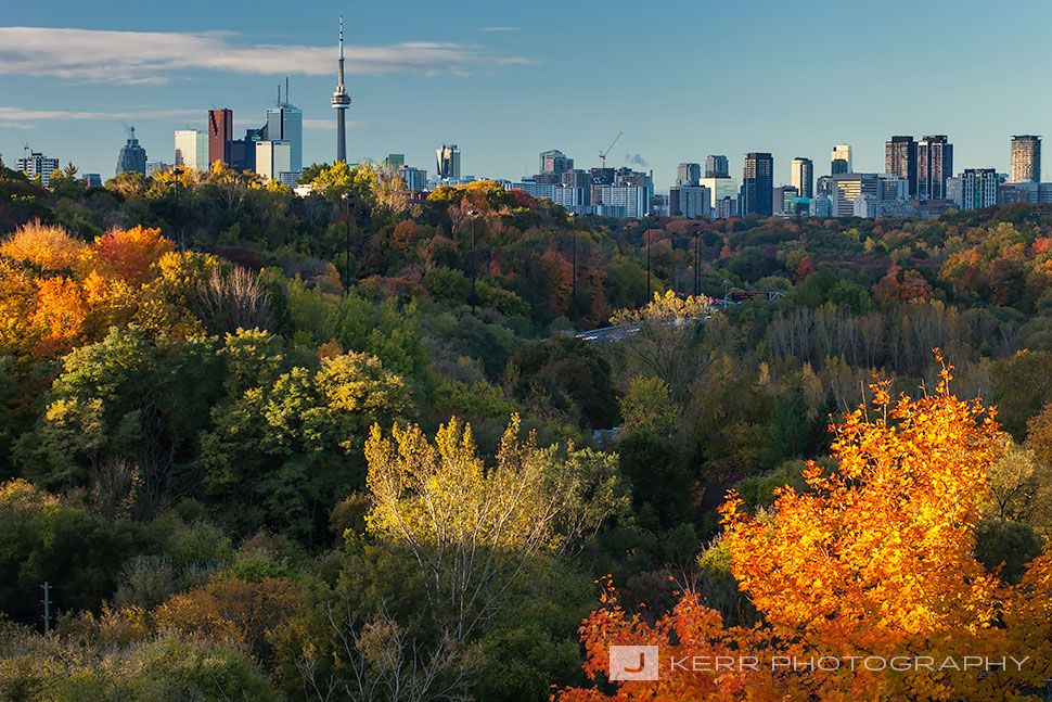 Toronto Skyline Jay Kerr