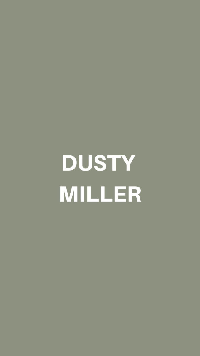 Dusty Miller Deluxe