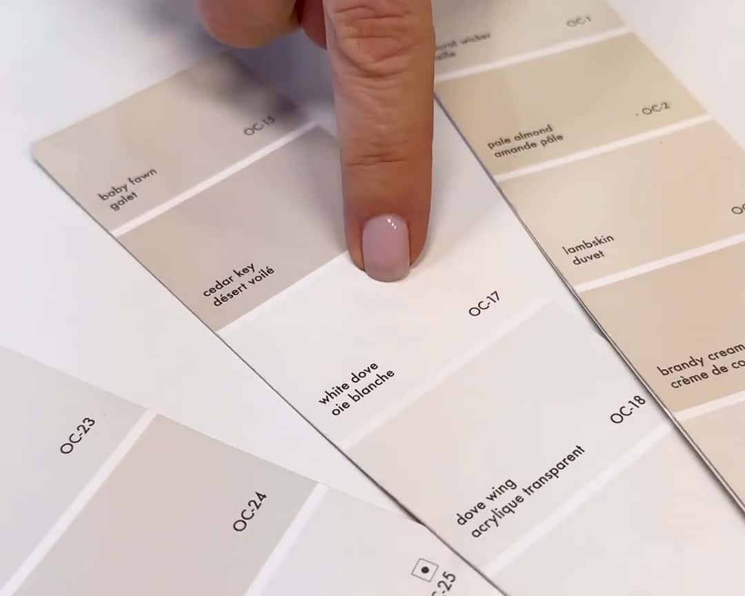 white dove paint swatch