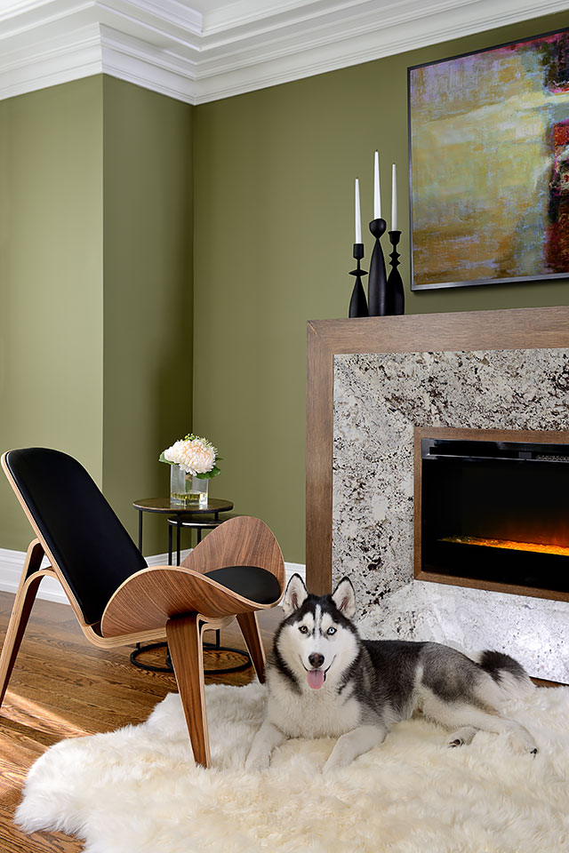 Fireplace, dog, white carpet and modern chair
